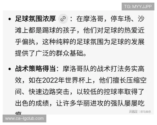 围绕摩洛哥籍足球球员名单的深度解析与全面历史现状概览与发展趋势 围绕摩洛哥籍足球球员名单的深度解析与全面历史现状概览与发展趋势