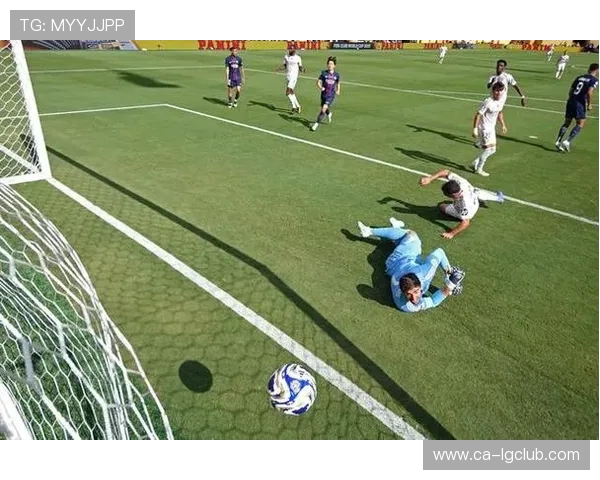 探索足球之旅手机游戏的激情世界体验绿茵场上的荣耀与梦想